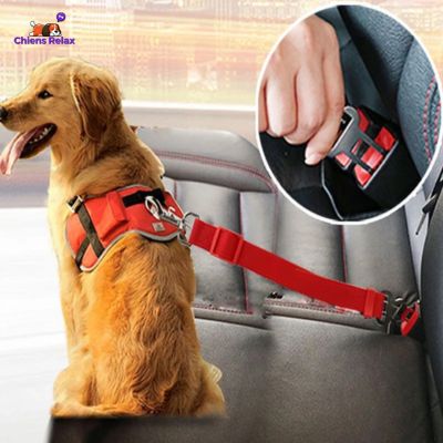 CEINTURE DE SÉCURITÉ POUR CHIEN | Lifebelt™