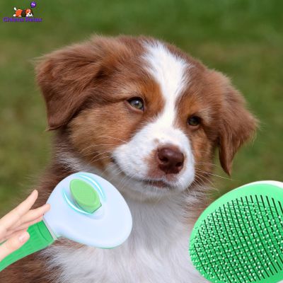 Brosse-pour-chien-pour-des-poils-doux-soyeux