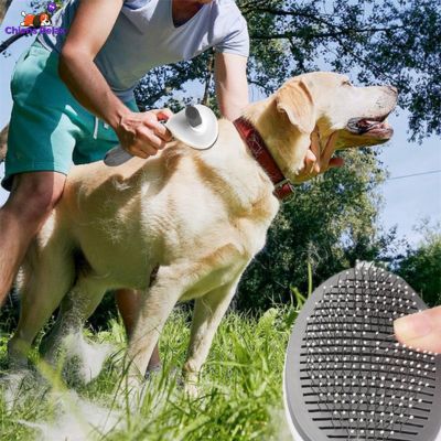 Brosse-pour-chien-toilettage