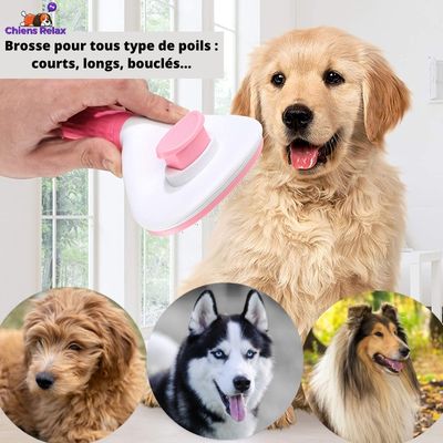 Brosse-pour-chien-tous-type-de-poils