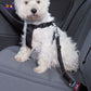 Ceinture-de-securite-pour-chien-pour-sa-vie